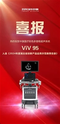 زون کیئر VIV 95 کو 2024 Hubei صوبائی جدید مصنوعات کے طور پر پہچانا جاتا ہے